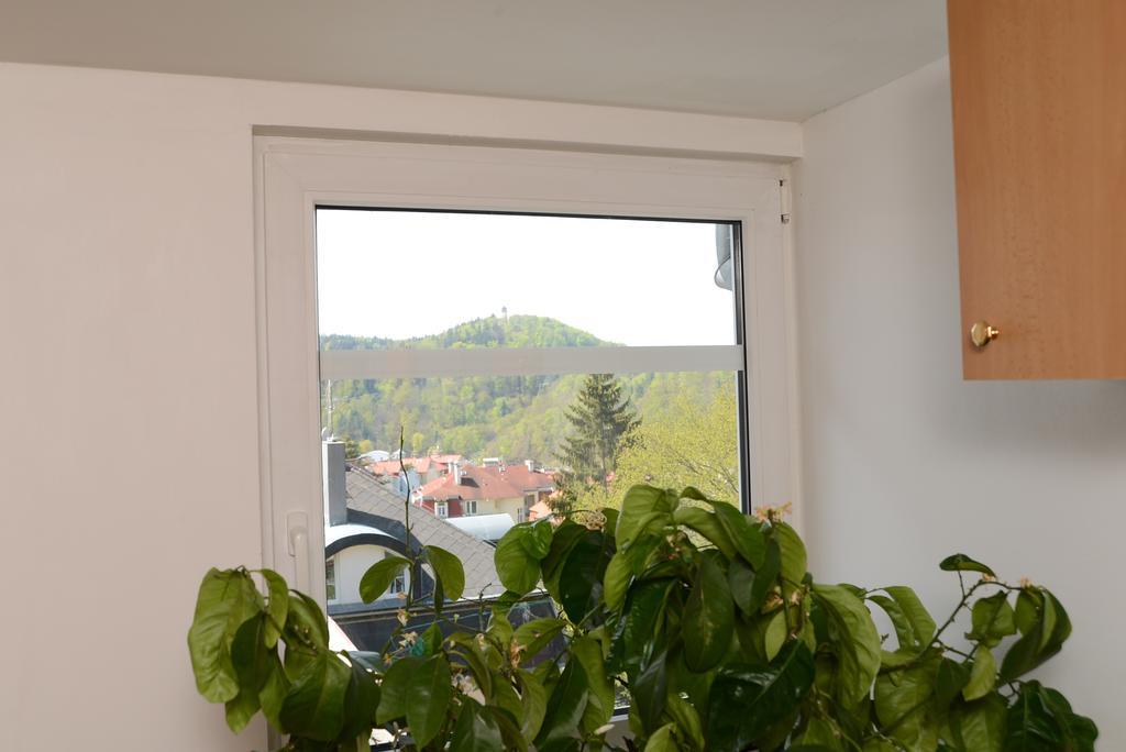 Ferienwohnung Privat Tri Krize Karlsbad Zimmer foto